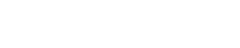 Lewis Electrical Logo
